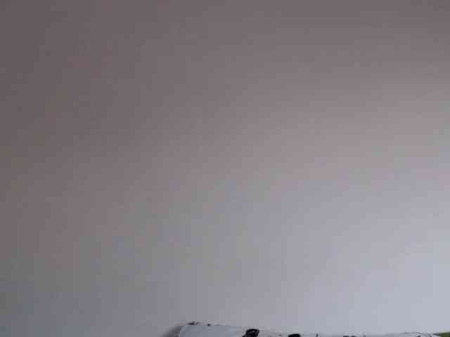 BritneyBlond webcam