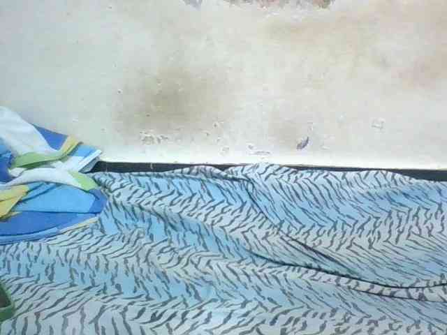 Quickass webcam