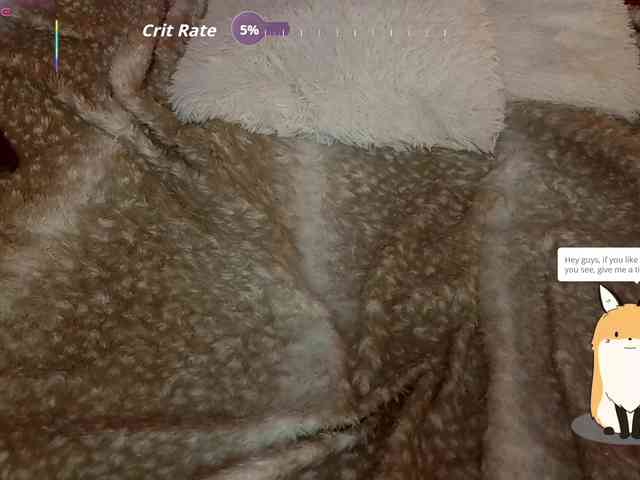 charlotte-ls webcam