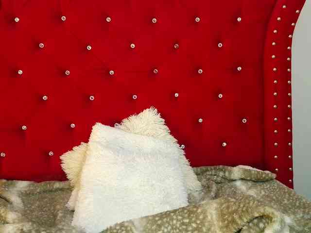 charlotte-ls webcam