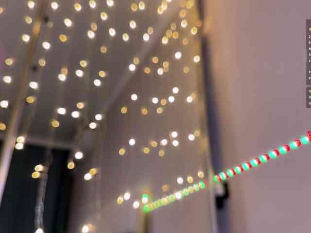 AllweNEEDisLOVE webcam