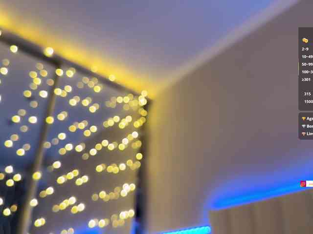 AllweNEEDisLOVE webcam