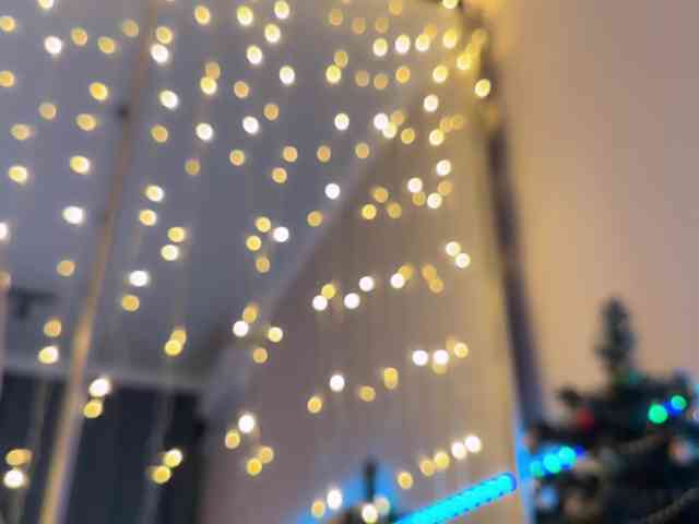 AllweNEEDisLOVE webcam