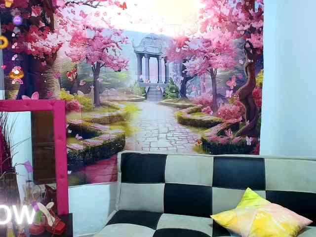 Hayami18 webcam