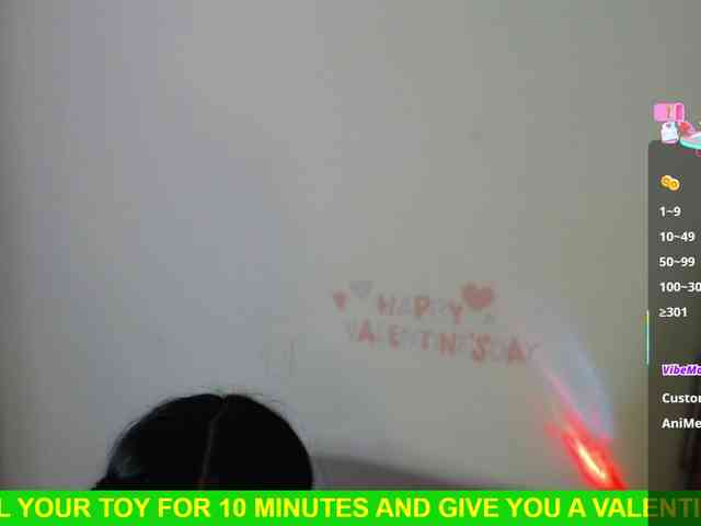 Miss-Engineer webcam