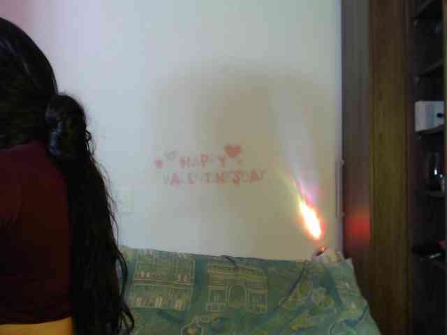 Miss-Engineer webcam