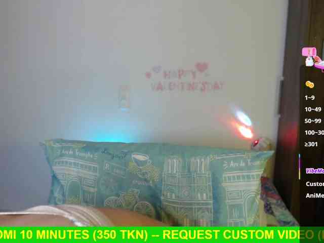 Miss-Engineer webcam