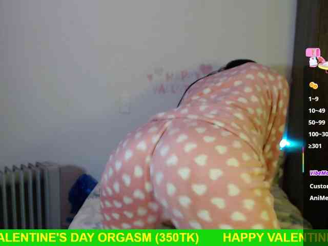 Miss-Engineer webcam