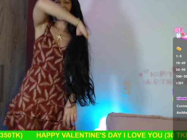 Miss-Engineer webcam