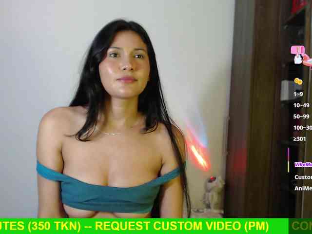 Miss-Engineer webcam