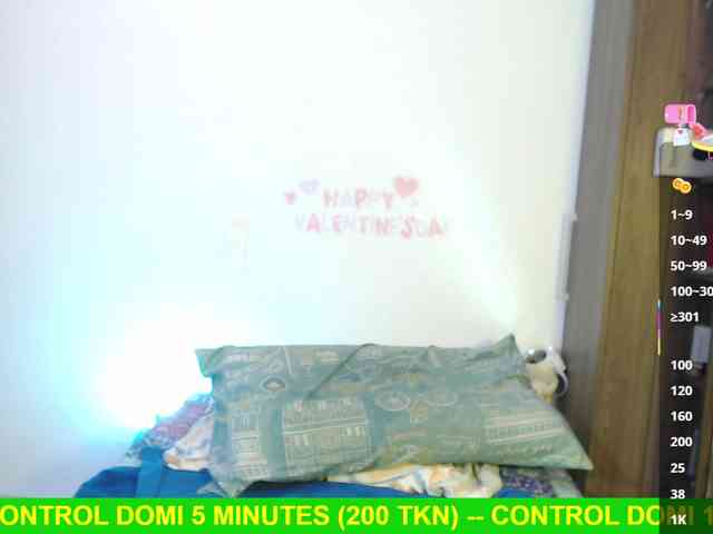 Miss-Engineer webcam