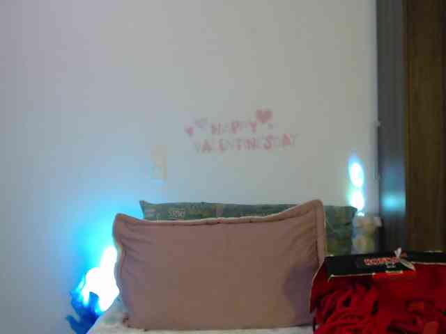 Miss-Engineer webcam