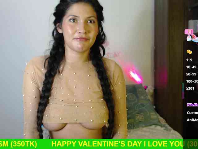 Miss-Engineer webcam