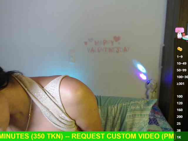 Miss-Engineer webcam