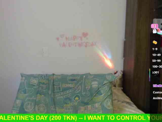 Miss-Engineer webcam