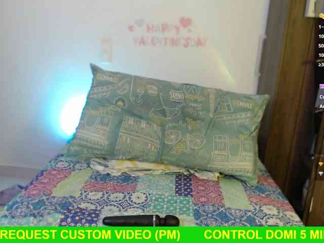 Miss-Engineer webcam