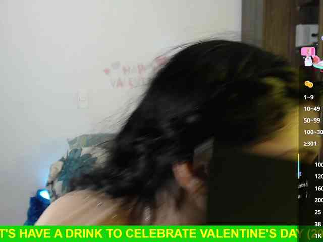 Miss-Engineer webcam