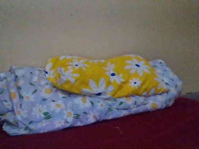 quqi webcam