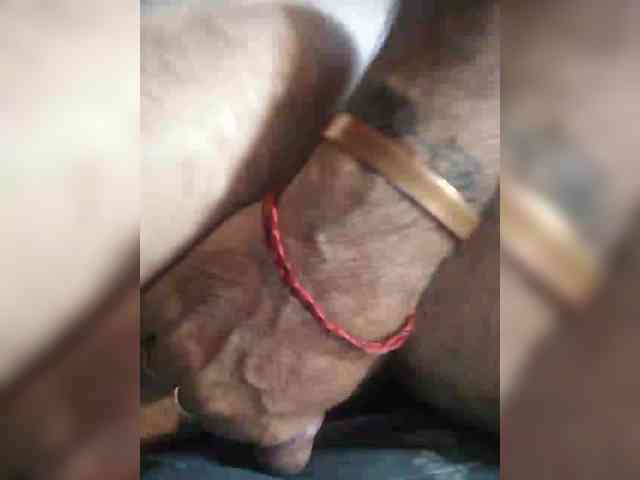 Leonmache Live Webcam on BongaCams