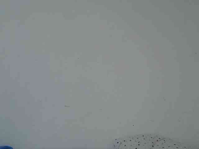 sweet-tatiana webcam