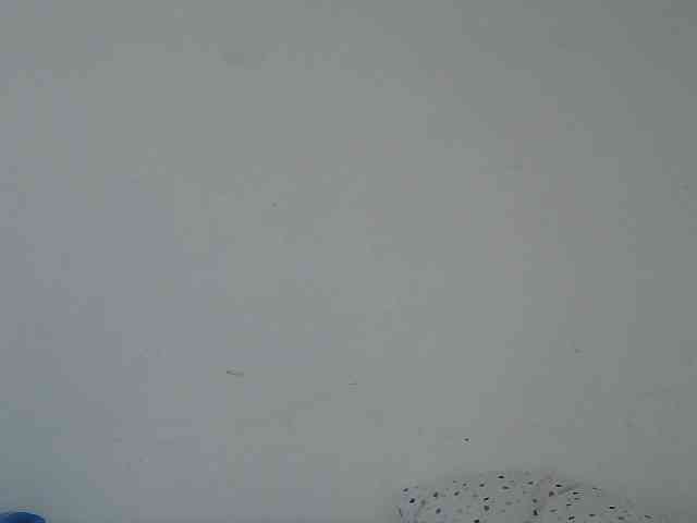 sweet-tatiana webcam