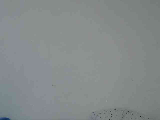 sweet-tatiana webcam