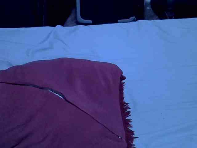 alora-skylar webcam