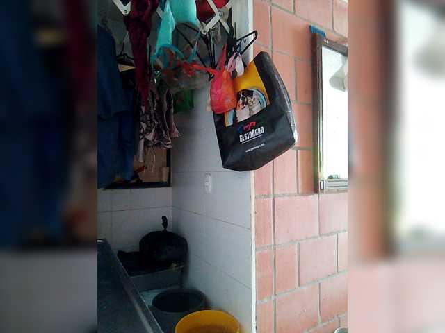 IMENET's BongaCams show and profile