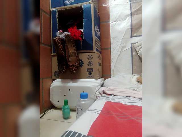 IMENET's BongaCams show and profile