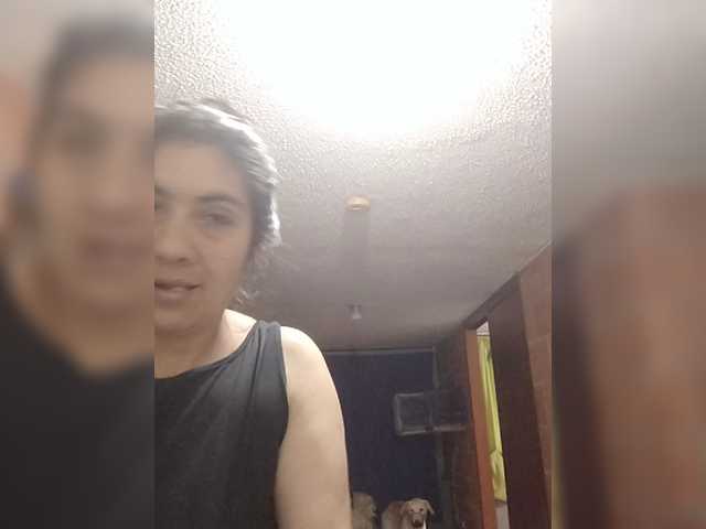 IMENET's BongaCams show and profile