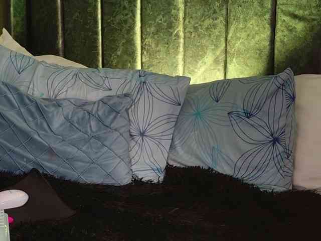 Anastasiaevans webcam