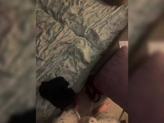 ParrraTigrroff preview