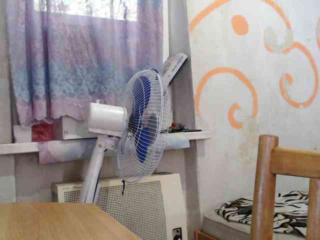 GospojaEva webcam