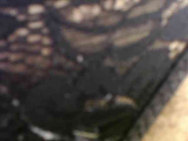 ChristinaVega webcam