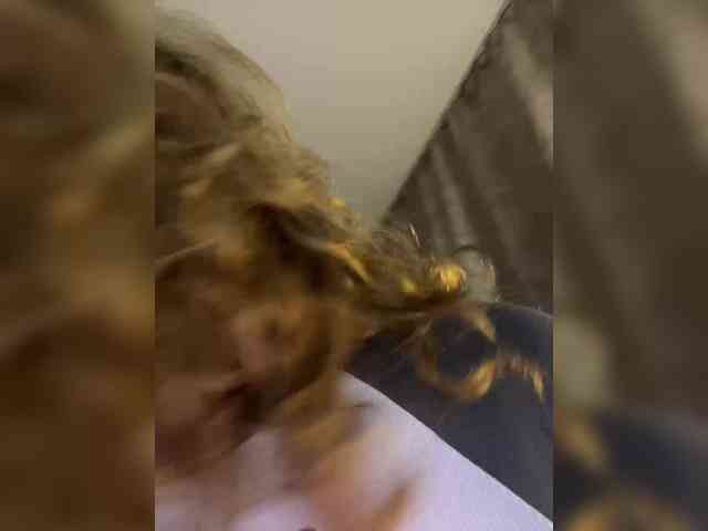 _ksenon_ webcam