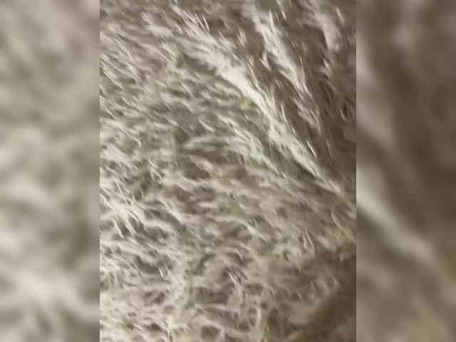 live amateur cam Kristallik-1