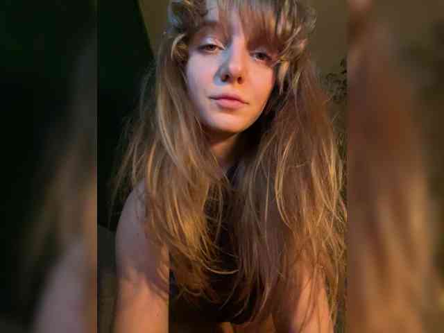 MaagilineKass webcam