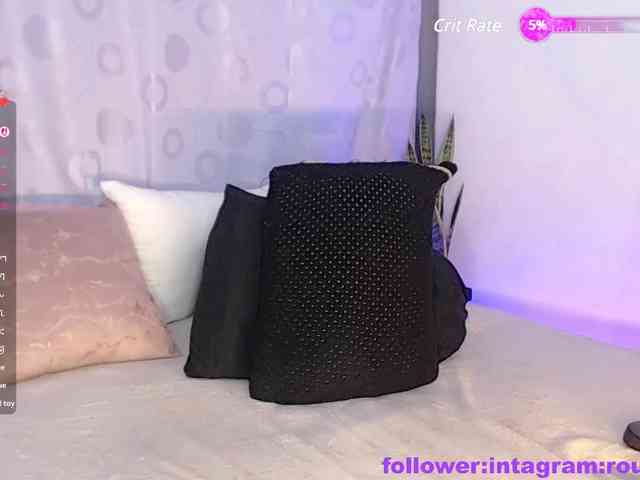 rouxe-lee webcam