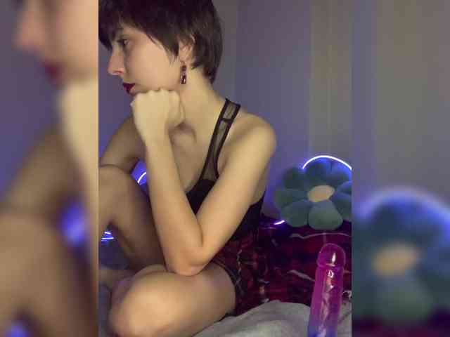 BunnyForceSolo webcam