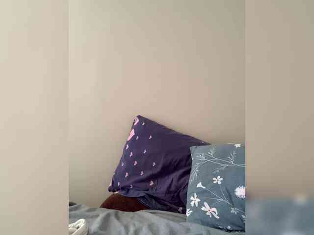 BunnyForceSolo webcam