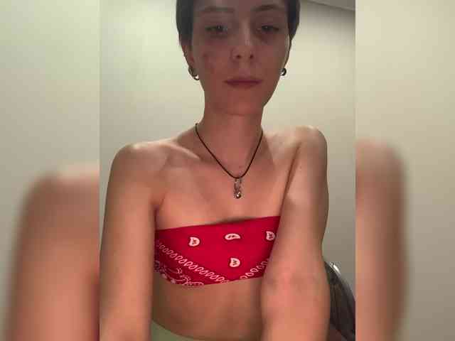 BunnyForceSolo webcam