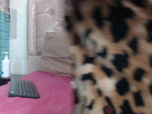 KataleyaStiward KataleyaStiward