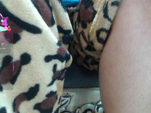 KataleyaStiward KataleyaStiward