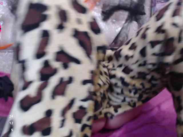 KataleyaStiward webcam