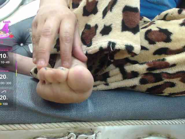 KataleyaStiward KataleyaStiward