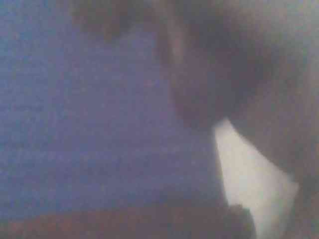 PrettyG webcam