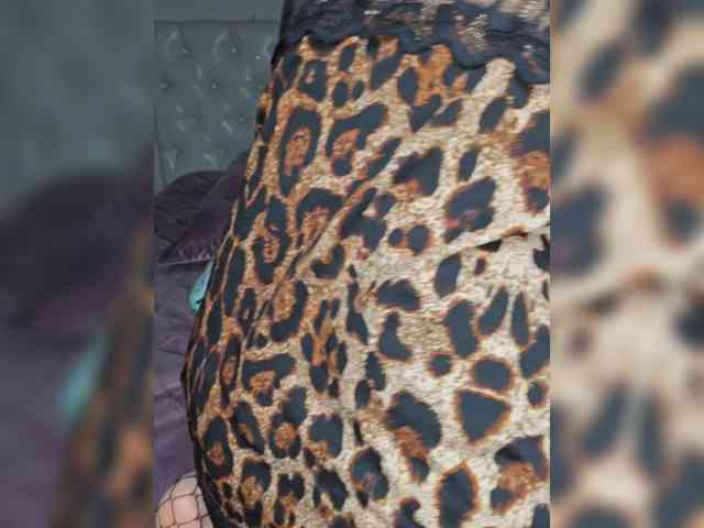 Evgesha-15 Live Webcam on BongaCams