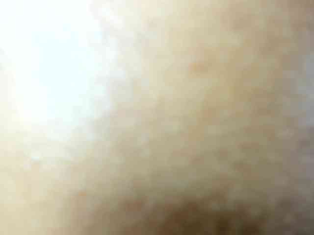 Brisahott