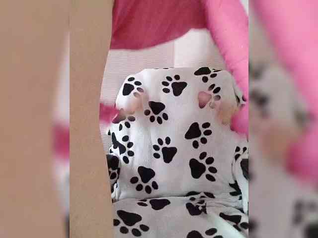 SWeet_Lana_24 webcam