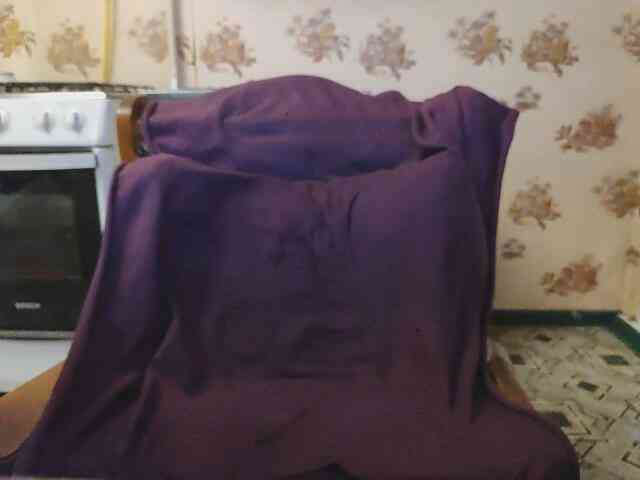 Zanguardik Zanguardik